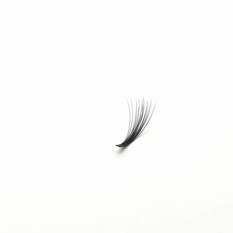 Volume Black Lashes-Easy fan 0.05