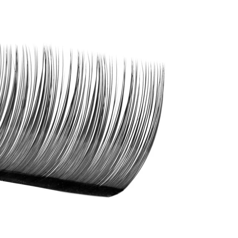 Black Lashes 0.07 Mixed Lengths (12/16 lines)