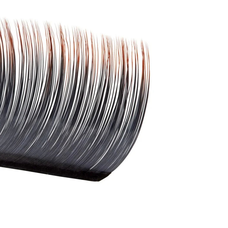 Volume Ombre Color Lashes C 0.07 Mix lengths 8-13mm (12lines)