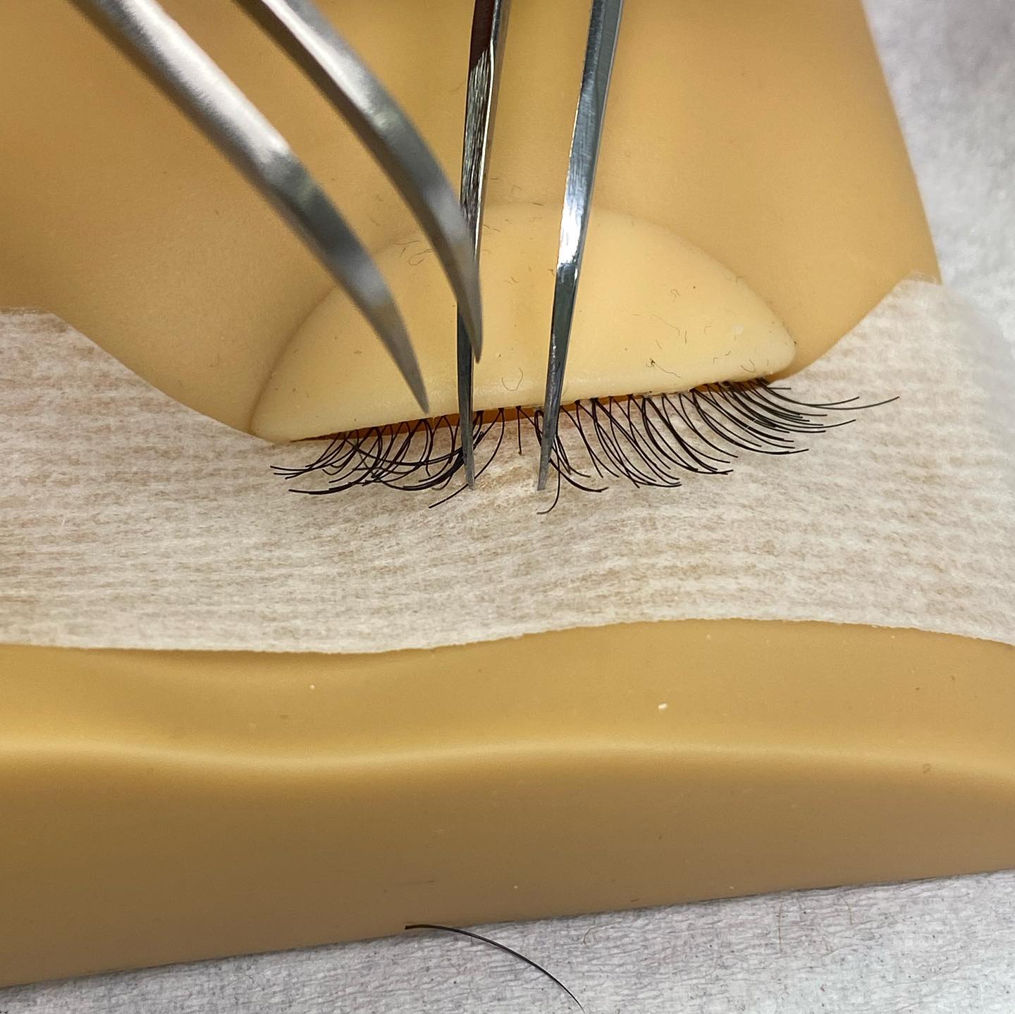Lash Extension 3D Practice Eyes