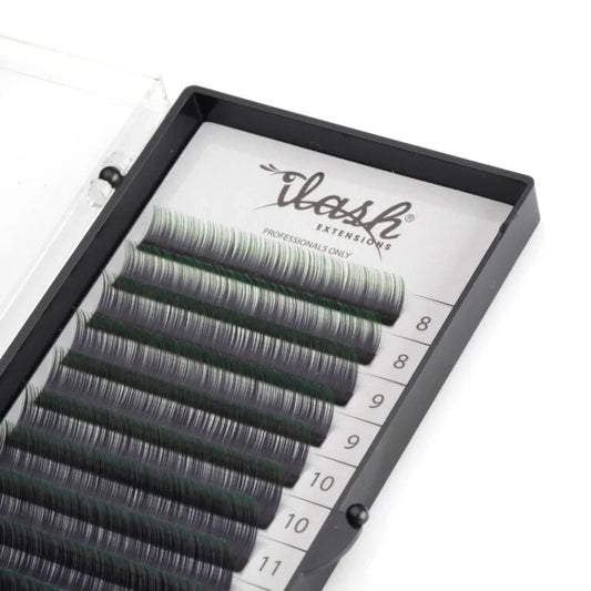 Volume Ombre Color Lashes C 0.07 Mix lengths 8-13mm (12lines)
