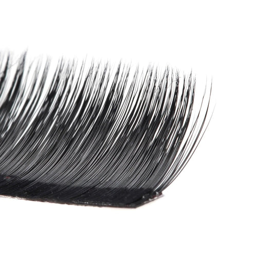 Volume Black Lashes-Easy fan 0.05